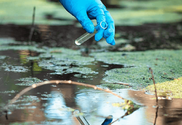 Superbac efetiva parceria com a Clean Environment Brasil para biorremediação de áreas contaminadas